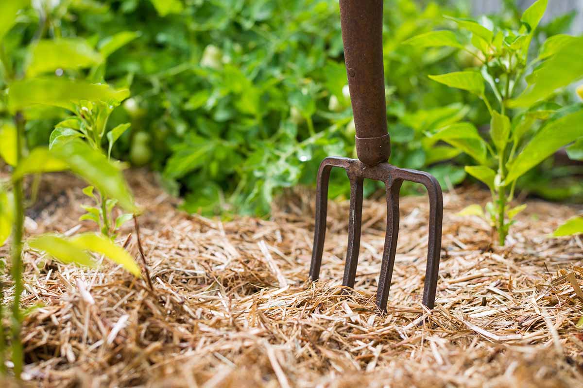rake-garden