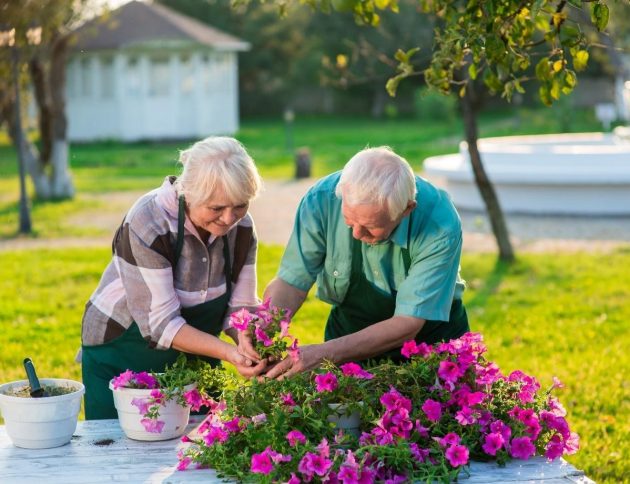 Senior-gardening-couple-together