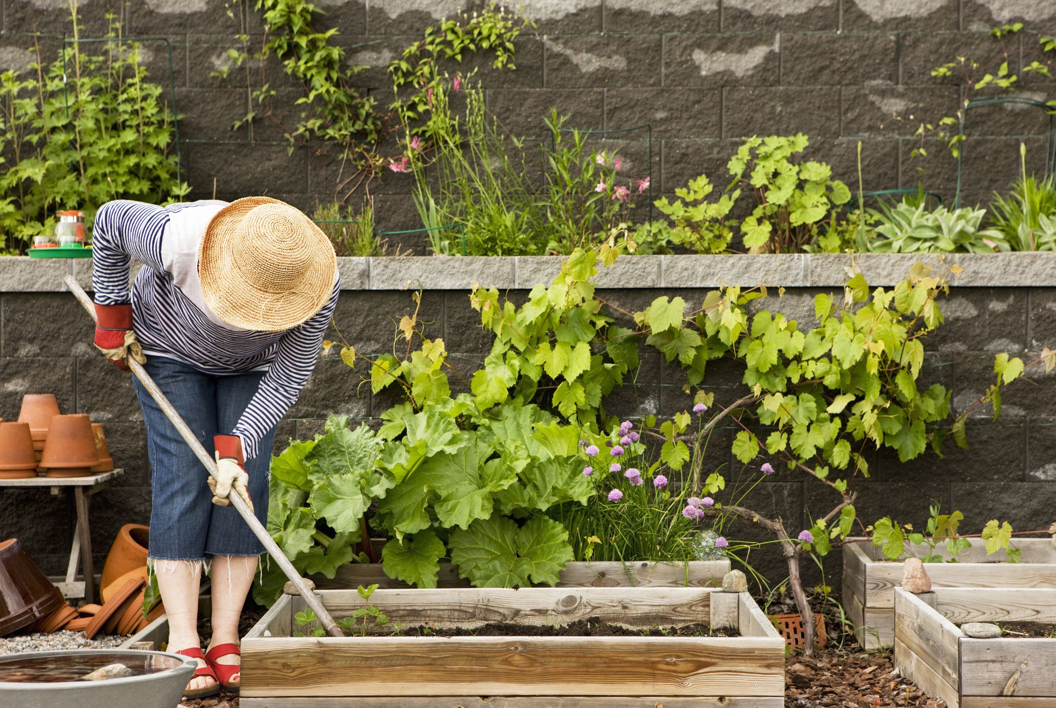 gardening-ontario gardening-ontario