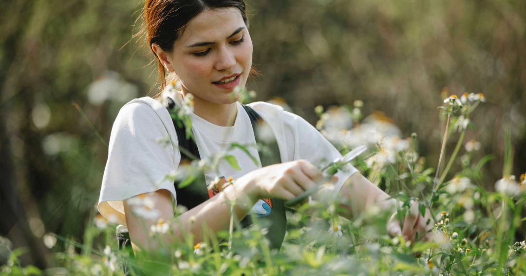 gardening-peace gardening-peace