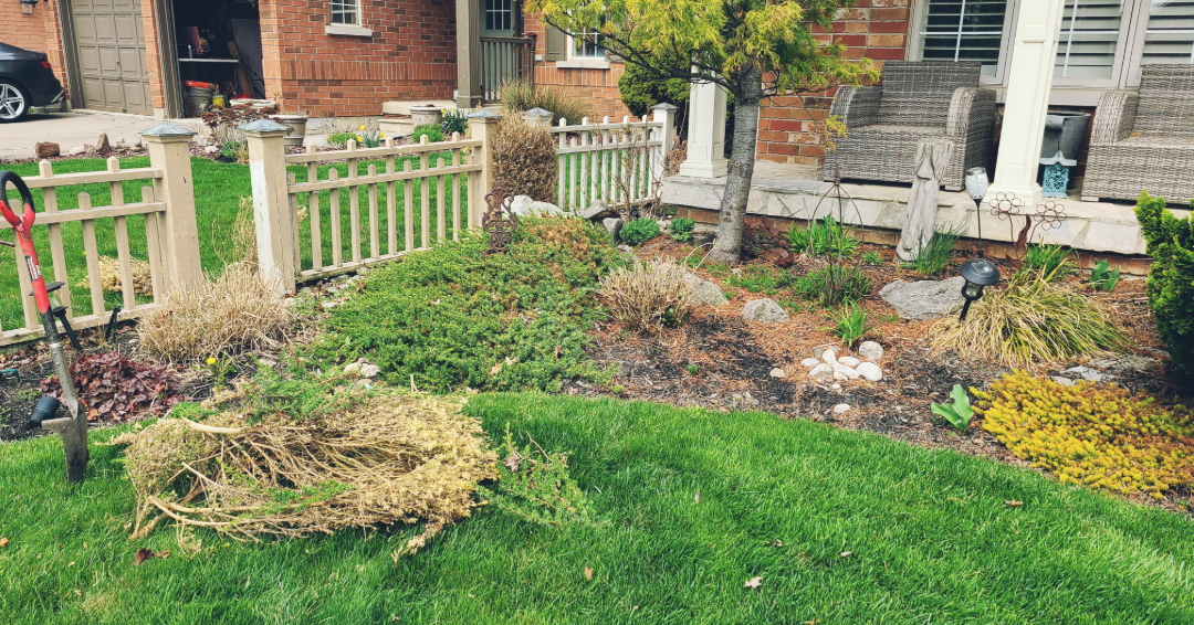 garden-mantenance garden-mantenance