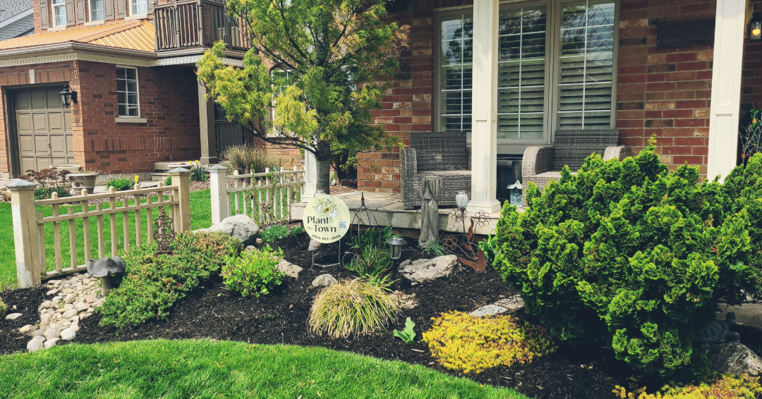 garden-mantenance-after garden-mantenance-after